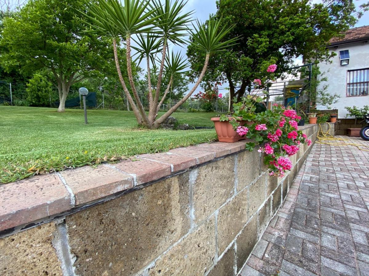 A Casa Di Nonna Emilia Bed & Breakfast Campagna Ngoại thất bức ảnh