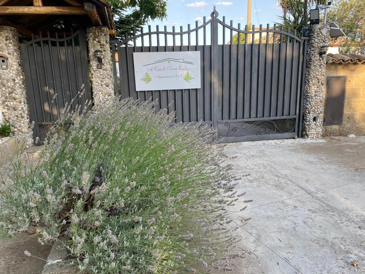A Casa Di Nonna Emilia Bed & Breakfast Campagna Ngoại thất bức ảnh