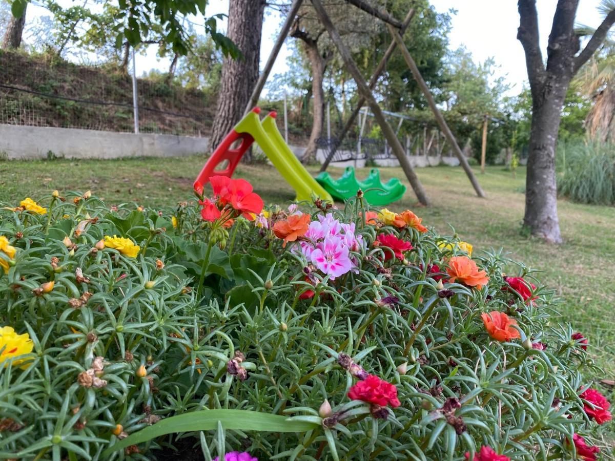 A Casa Di Nonna Emilia Bed & Breakfast Campagna Ngoại thất bức ảnh